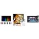 RADIO NAWIGACJA GPS ANDROID BT USB SD 2/32GB + KOSZ PO ZWROCIE
