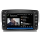 RADIO NAWIGACJA GPS MERCEDES CLK W209 W203 W463 6GB 128GB USB WIFI